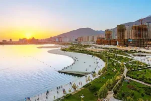 نمایندگی فروش کفش